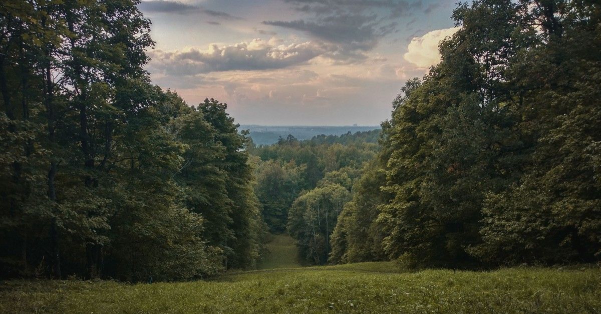 Дудергофские высоты