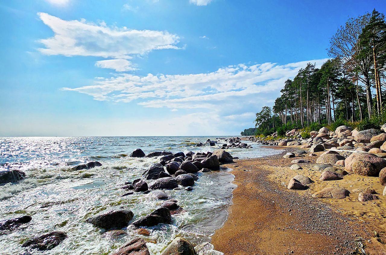 Побережье Финского залива
